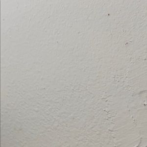 Meet your Posher, Carley